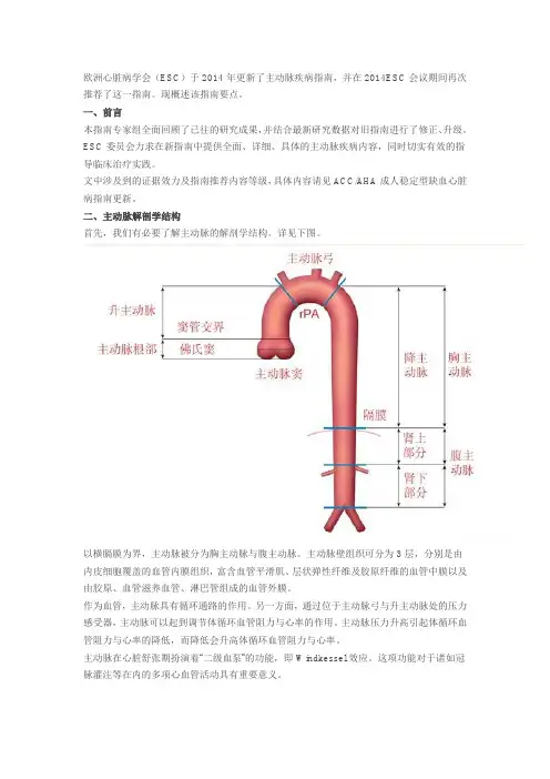 2014年ESC主动脉疾病诊疗指南