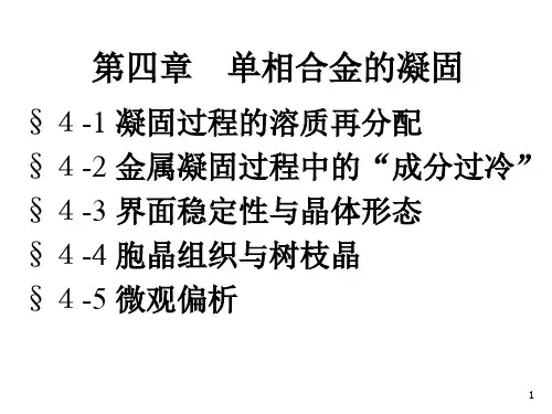2011凝固第四章