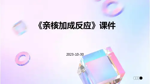 《亲核加成反应》课件