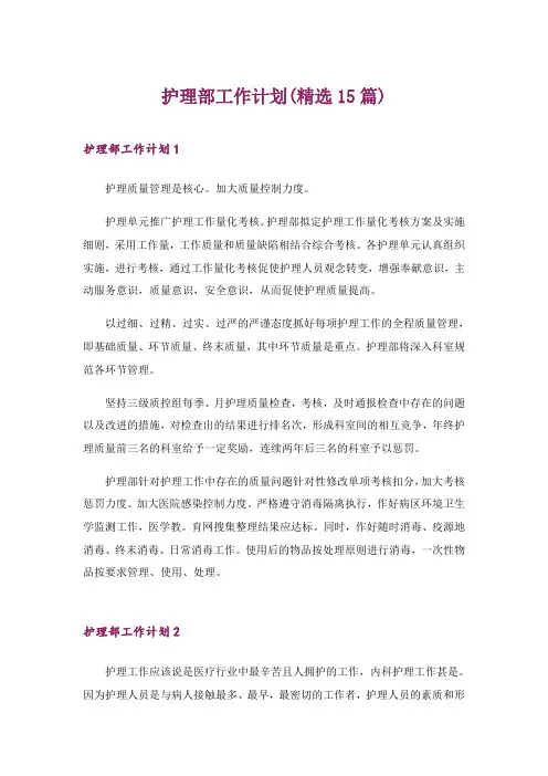 2024年护理部工作计划(精选15篇)