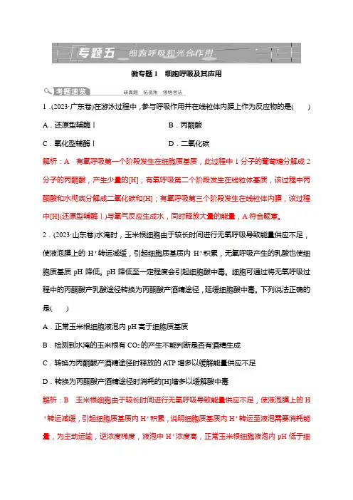 2025届高考生物二轮复习【第1部分】大概念整合2专题5细胞呼吸和光合作用教案(新教材)
