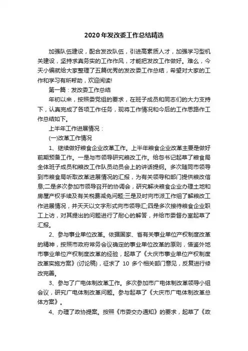 2020年发改委工作总结精选