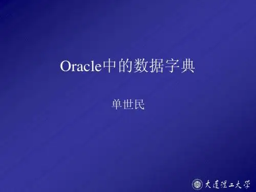 20_数据字典