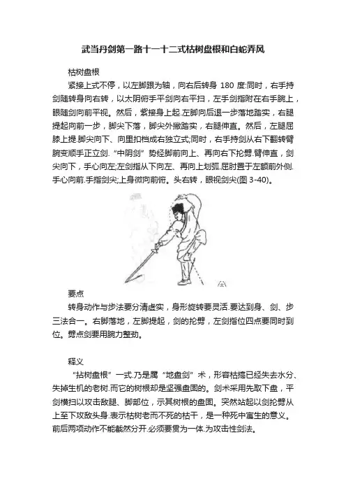 武当丹剑第一路十一十二式枯树盘根和白蛇弄风