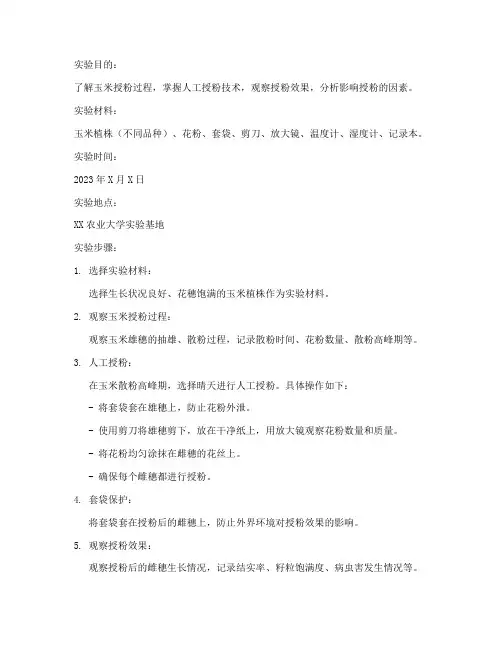 玉米的授粉实验实验报告