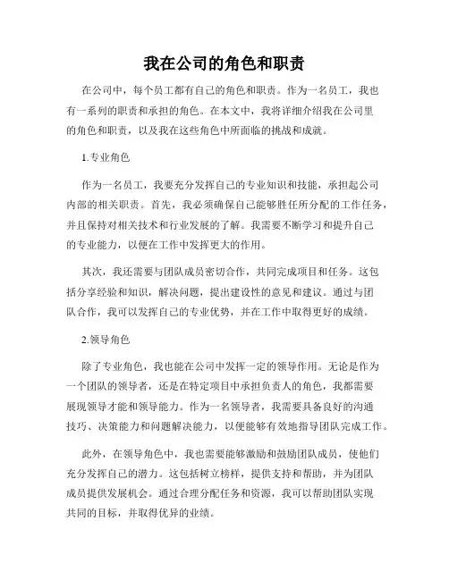 我在公司的角色和职责