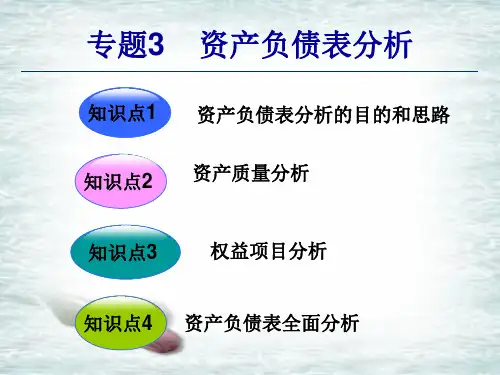 知识点1 2资产项目分析