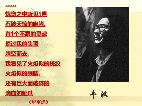 《我的第一本书》ppt课件 