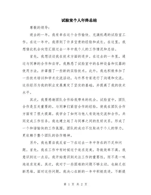 试验室个人年终总结