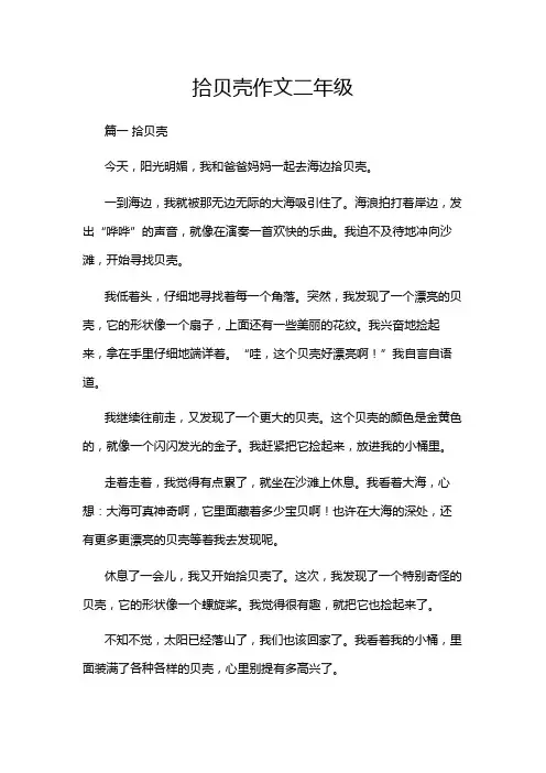 拾贝壳作文二年级
