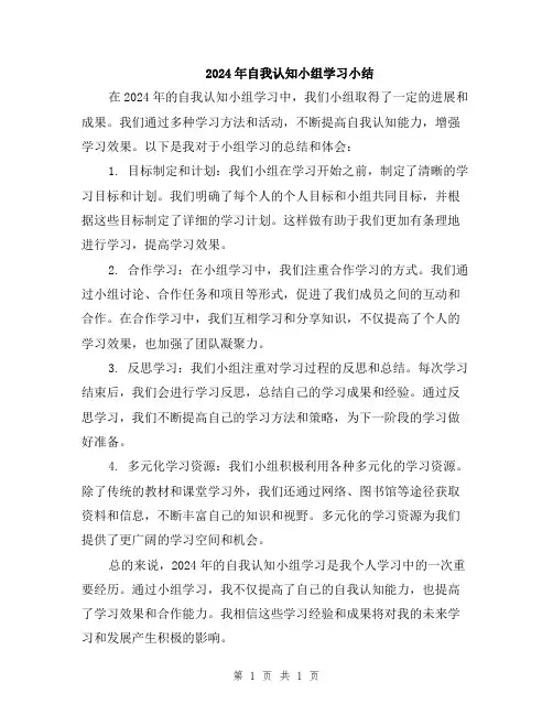 2024年自我认知小组学习小结
