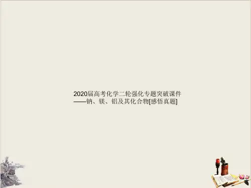 高考化学二轮强化专题突破——专题五钠镁铝及其化合物教学课件