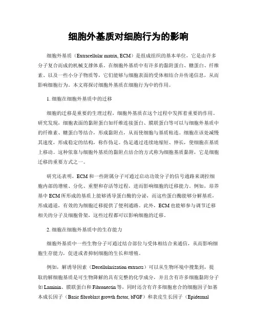 细胞外基质对细胞行为的影响