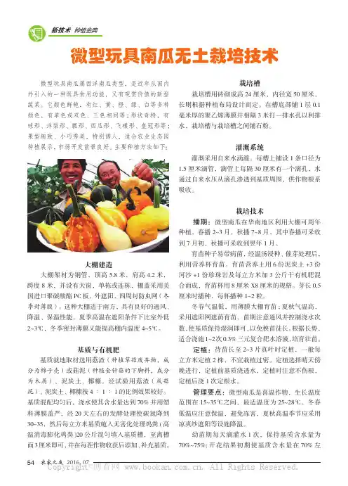 微型玩具南瓜无土栽培技术