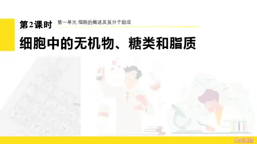 高三生物一轮复习课件考点2细胞中的水和无机盐