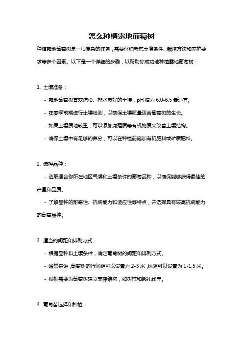 怎么种植露地葡萄树