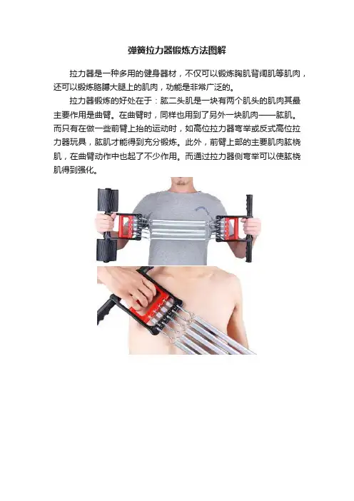 弹簧拉力器锻炼方法图解