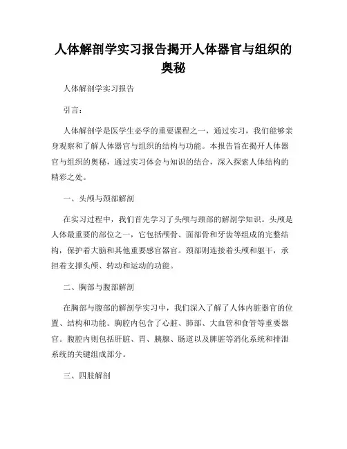 人体解剖学实习报告揭开人体器官与组织的奥秘