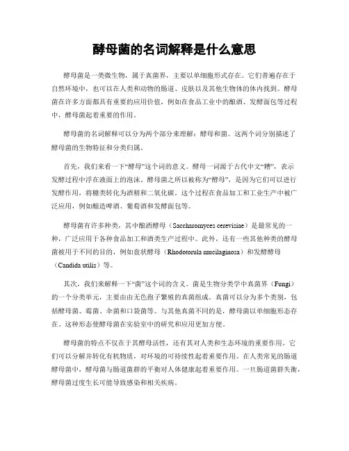 酵母菌的名词解释是什么意思