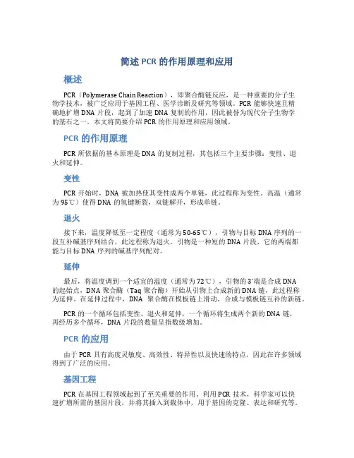简述pcr的作用原理和应用