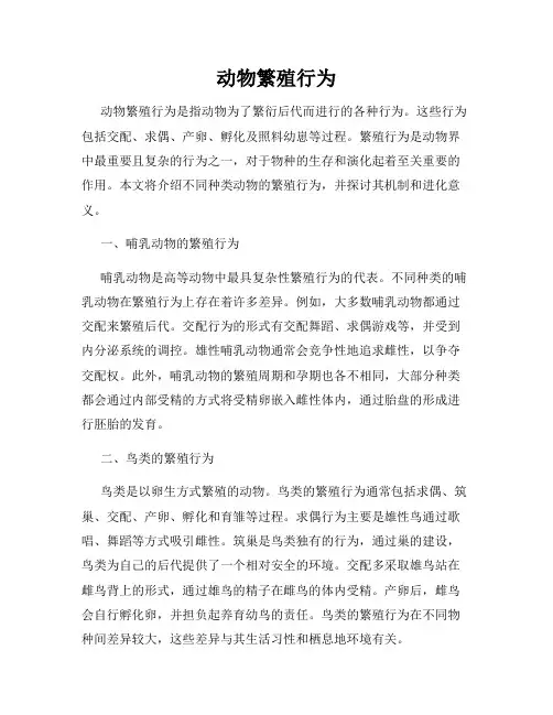 动物繁殖行为