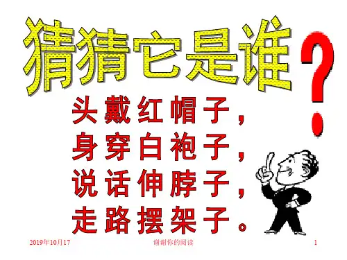 课标版四年级上册《白鹅》课件.ppt