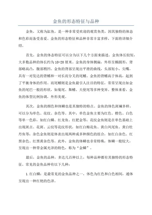 金鱼的形态特征与品种