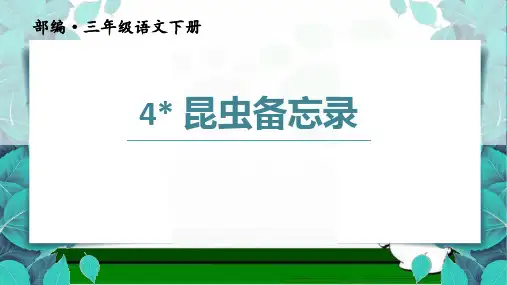 4《昆虫备忘录》(课件)统编版语文三年级下册