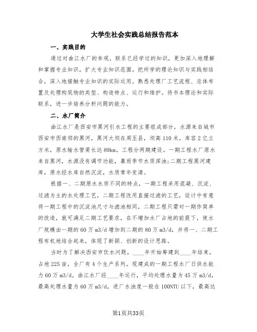 大学生社会实践总结报告范本(13篇)