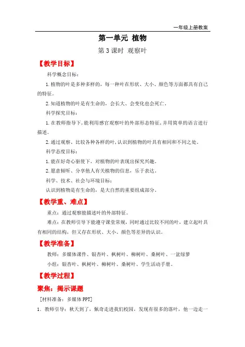 教科版一年级上册科学-观察叶教案与教学反思