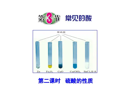常见的酸(第2课时)PPT课件(初中科学)