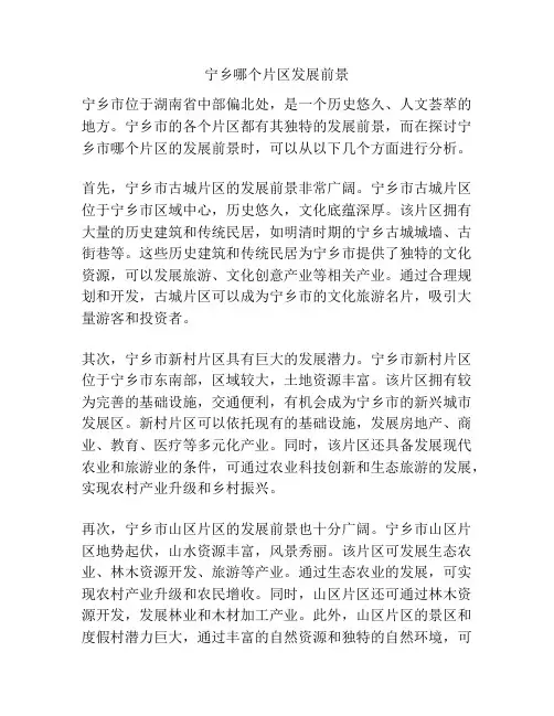 宁乡哪个片区发展前景