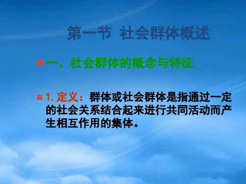 社会群体与消费者购买行为概述