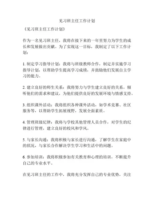 见习班主任工作计划