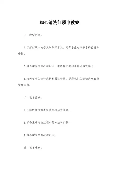 细心清洗红领巾教案