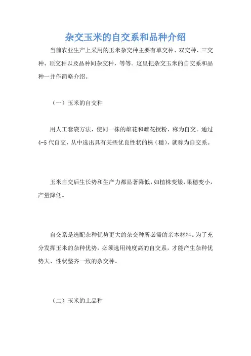 杂交玉米的自交系和品种介绍