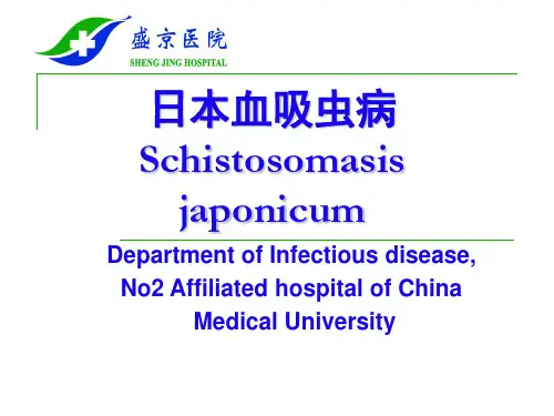 血吸虫