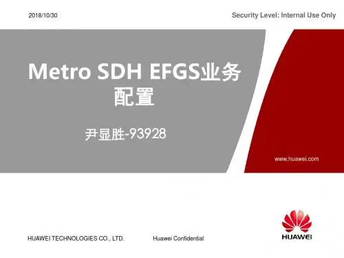 SDH-EFGS业务配置概述