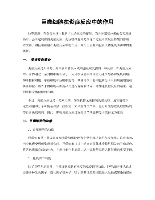 巨噬细胞在炎症反应中的作用