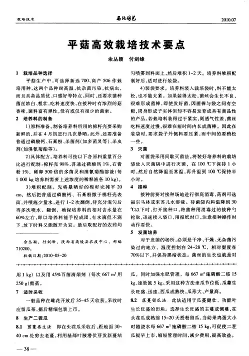 平菇高效栽培技术要点