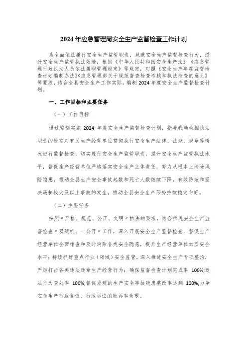 2024年应急管理局安全生产监督检查工作计划