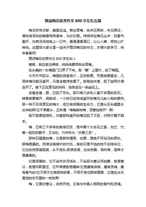 赞颂梅花优秀作文600字左右五篇
