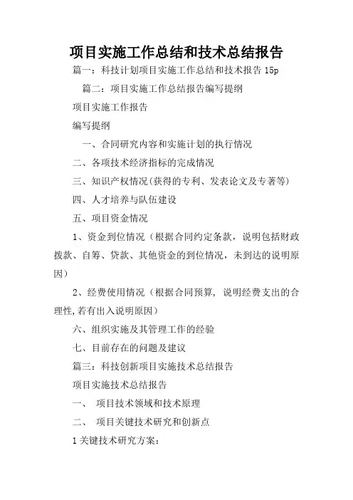 项目实施工作总结和技术总结报告