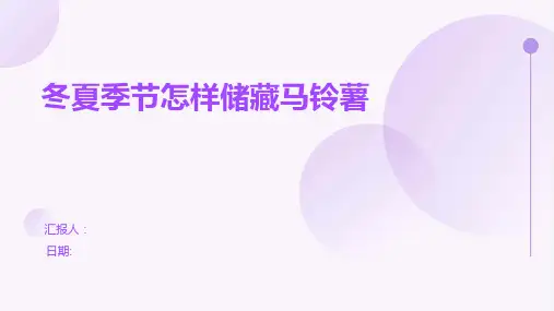 冬夏季节怎样储藏马铃薯