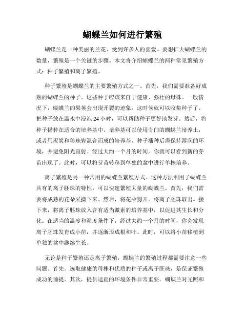 蝴蝶兰如何进行繁殖