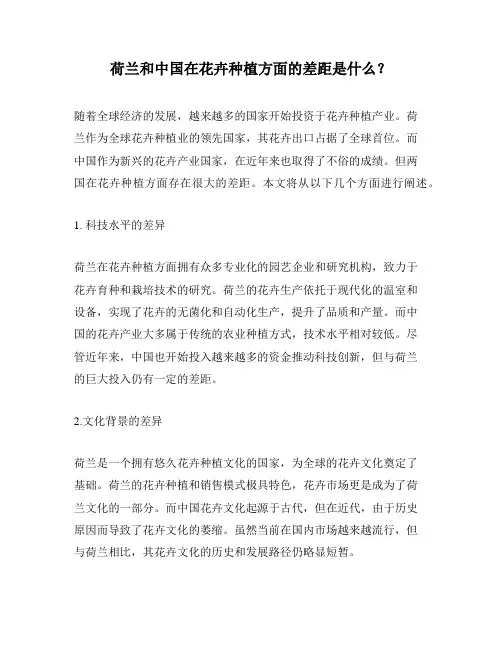 荷兰和中国在花卉种植方面的差距是什么？