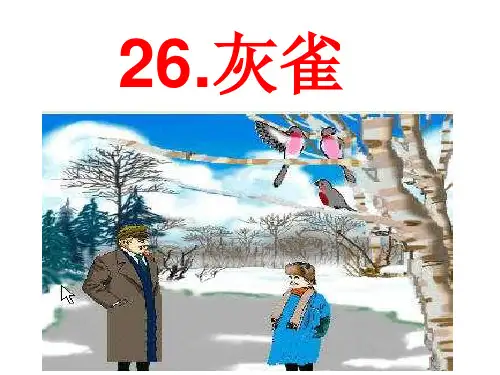 《灰雀》精品PPT课件部编版1