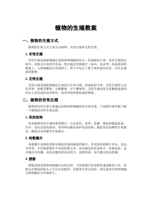 植物的生殖教案