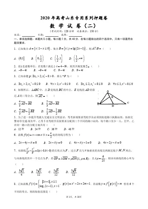 2020年山东高考专用系列押题卷数学试卷(二)(含答案及解析)