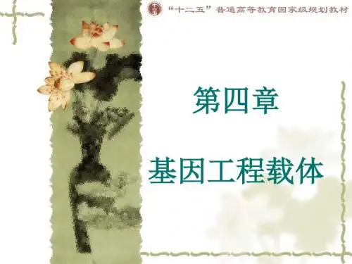 第4章  基因工程载体